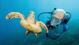 Jean-Michel-Cousteau_and_turtle.jpg